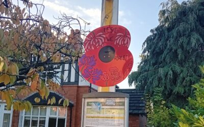 Local Students Create Poppy Tribute for Crewe BID Remembrance Project